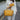 Darielle Shoulder Bag and Set
